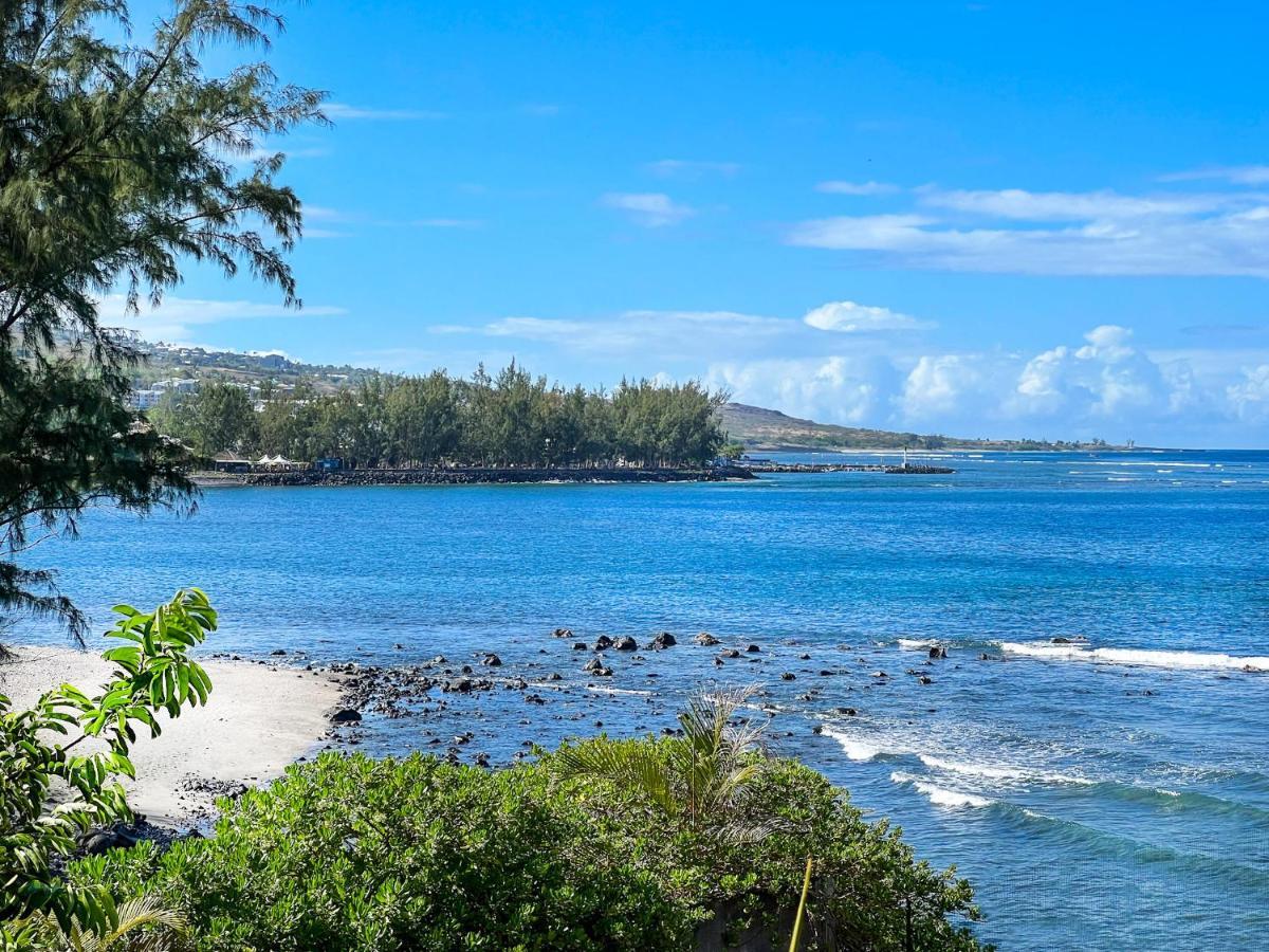 Le Petrel Bleu - Appartement Sur La Plage Des Tortues A แซ็งต์-เลอ ภายนอก รูปภาพ