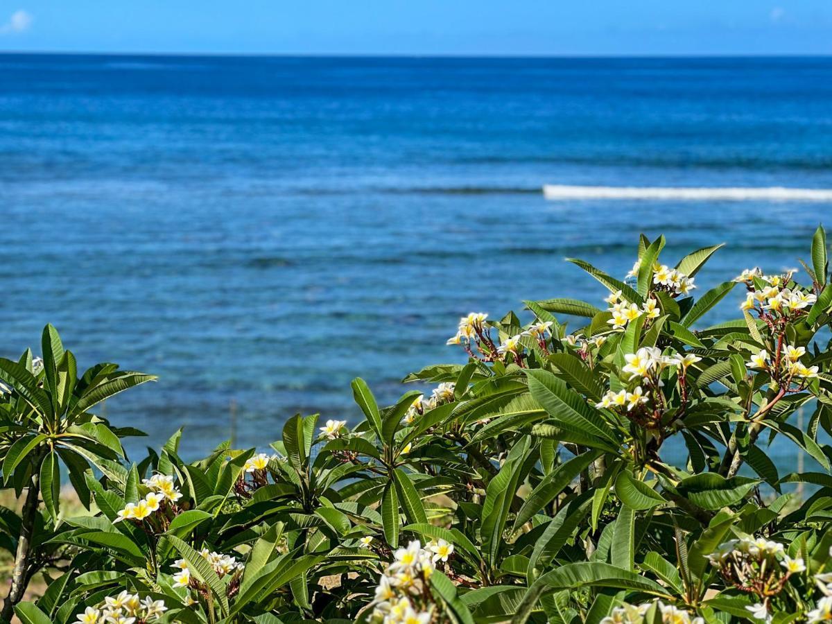 Le Petrel Bleu - Appartement Sur La Plage Des Tortues A แซ็งต์-เลอ ภายนอก รูปภาพ